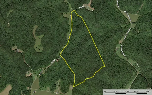 an aerial view of a yard