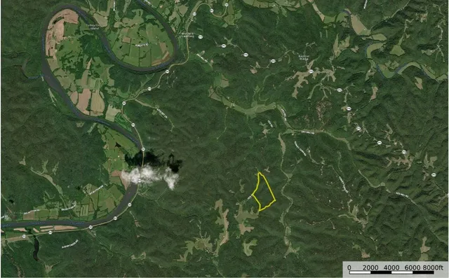 a view of a plant in a garden