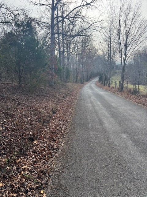 0 Tick Road Hilham, TN 38568 - Photo 3 of 14 a view of a yard with a tree