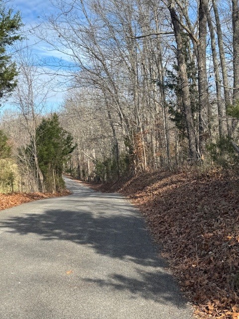 0 Tick Road Hilham, TN 38568 - Photo 4 of 14 a view of a yard with large trees