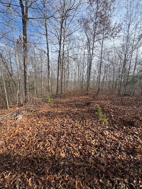 0 Tick Road Hilham, TN 38568 - Photo 7 of 14 a view of a backyard