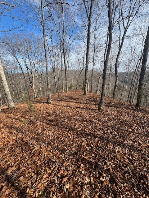 0 Tick Road Hilham, TN 38568 - Photo 9 of 14 a backyard of a house
