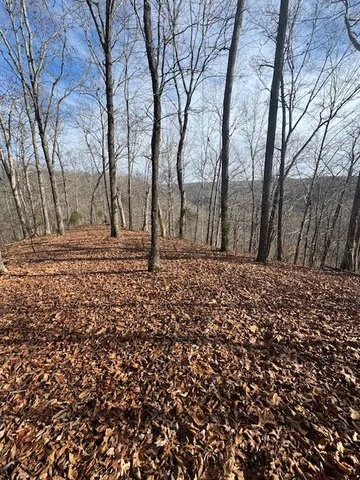 a view of a backyard of the house