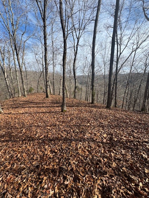 0 Tick Road Hilham, TN 38568 - Photo 10 of 14 a view of a backyard of the house
