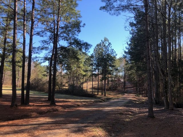 571 County Line Road Carthage, MS 39051 - Photo 3 of 19 Photo 3