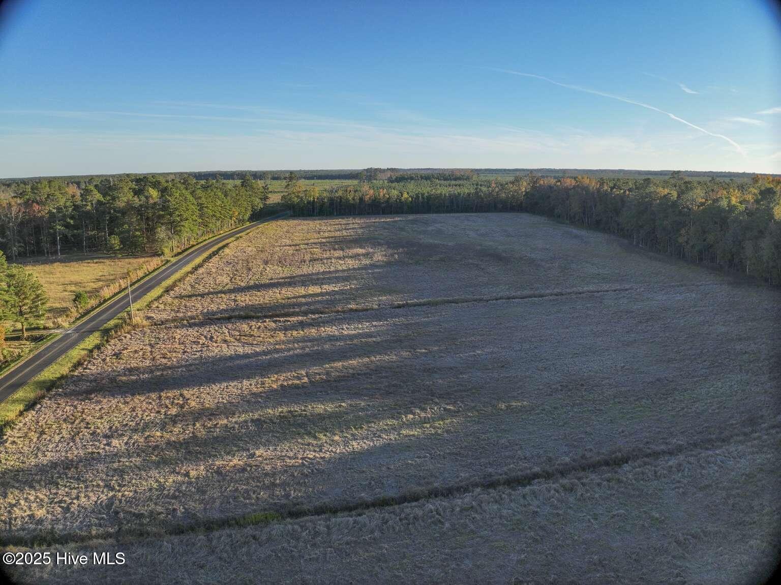 948 Creek Road Whiteville, NC 28472 - Photo 3 of 11 Kozak.3