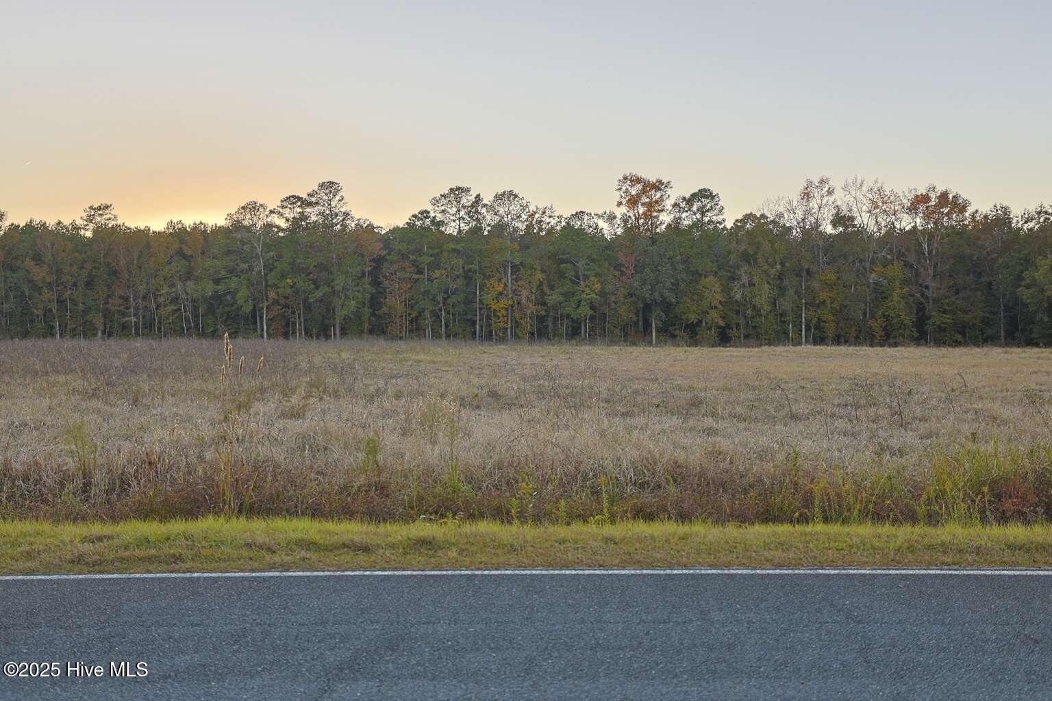948 Creek Road Whiteville, NC 28472 - Photo 5 of 11 Kozak.5