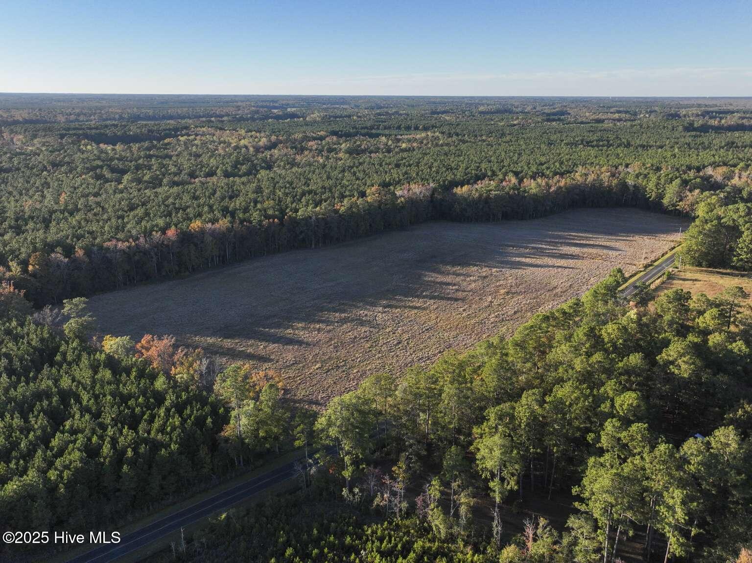 948 Creek Road Whiteville, NC 28472 - Photo 9 of 11 Kozak.9