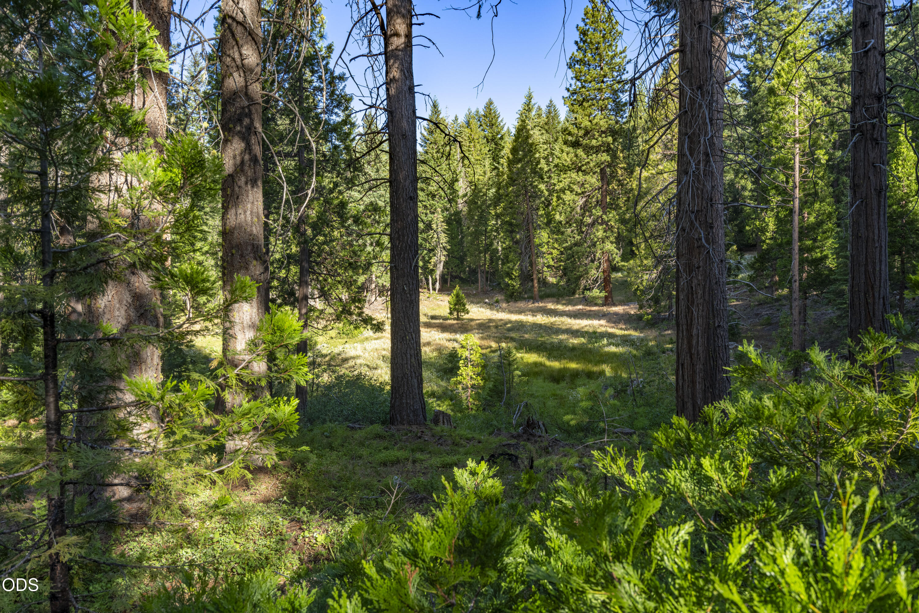 0 Hungry Ridge Ashland, OR 97520 - Photo 22 of 55