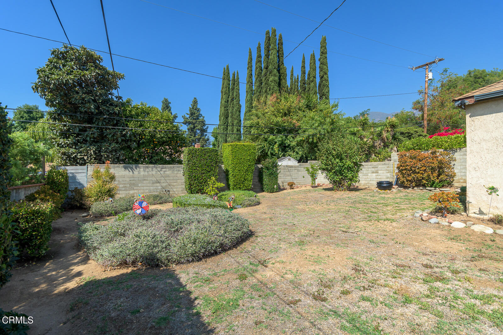 3279 Laurice Avenue Altadena, CA 91001 - Photo 22 of 24 a view of a garden with potted plants