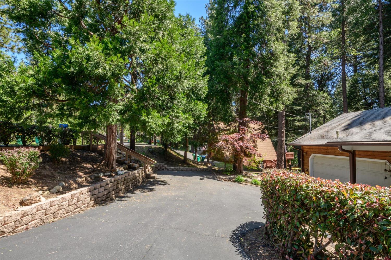 6480 Granite Trail Pollock Pines, CA 95726 - Photo 3 of 23 a view of a street with some trees