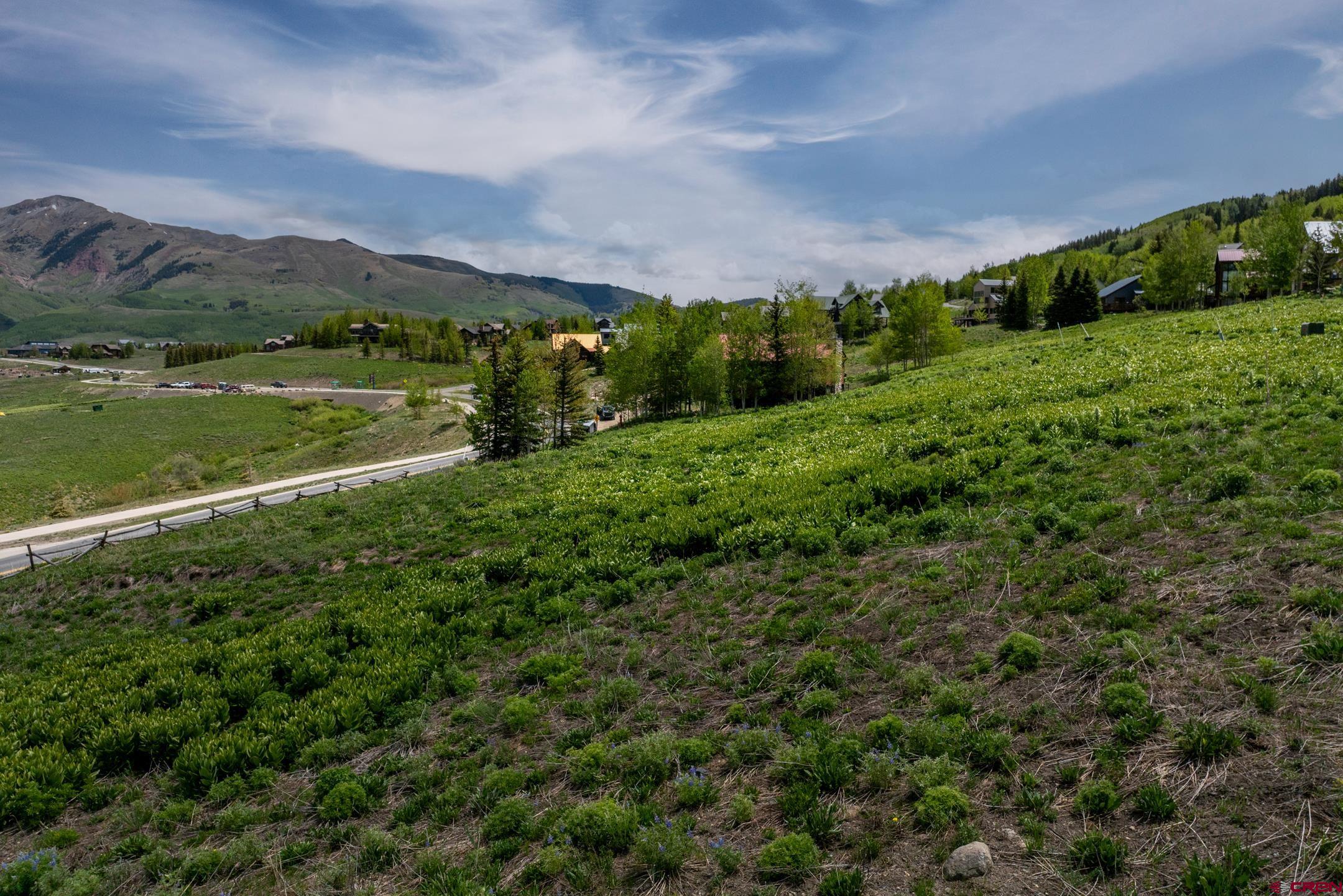 916 Gothic Road Crested Butte, CO 81225 - Photo 4 of 21