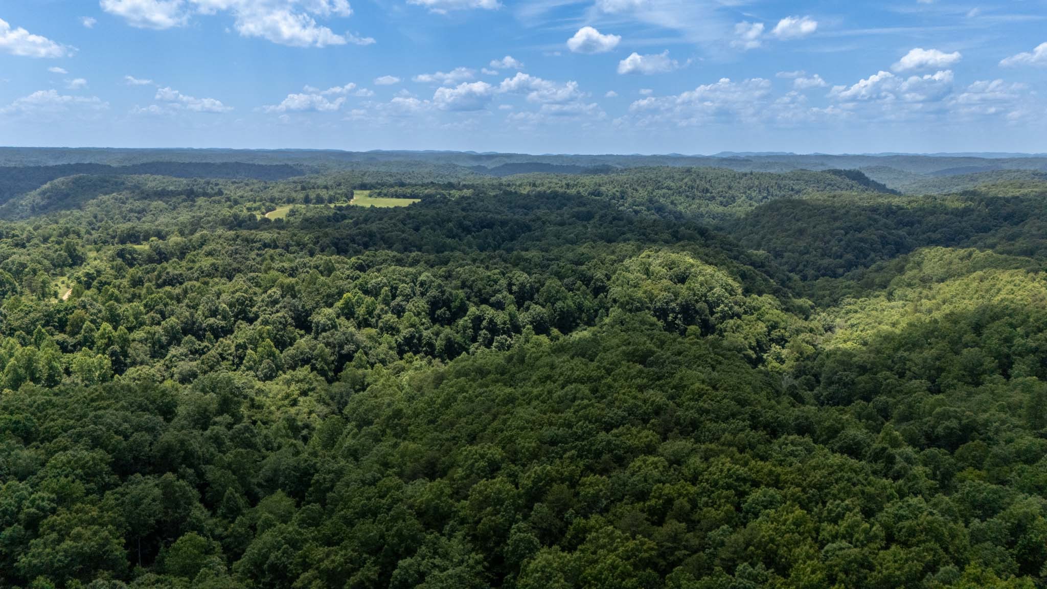 3772 Pea Ridge Road Liberty, TN 37095 - Photo 20 of 52