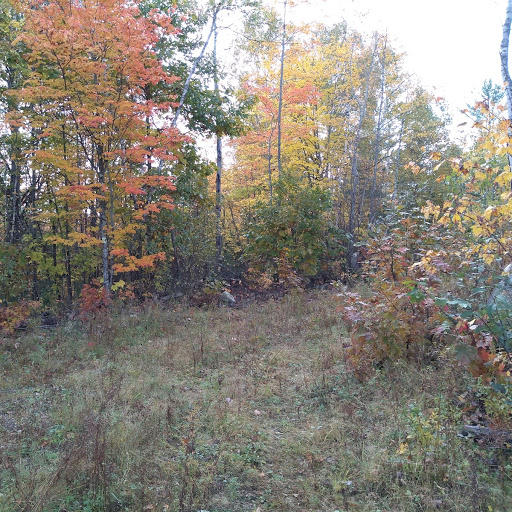 43 Ringwood Road Palmyra, ME 04965 - Photo 9 of 11 Another trail on property