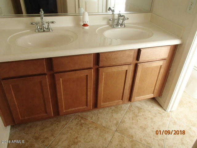 18368 Verdin Road Goodyear, AZ 85338 - Photo 10 of 20 bath3-1