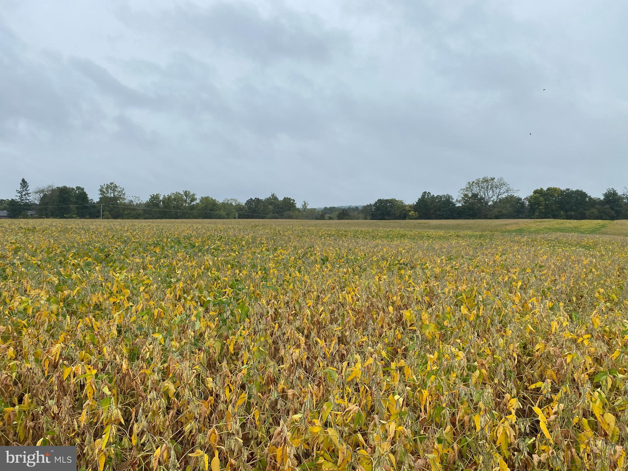 70 Peepytown Road East Berlin, PA 17316 - Photo 3 of 5