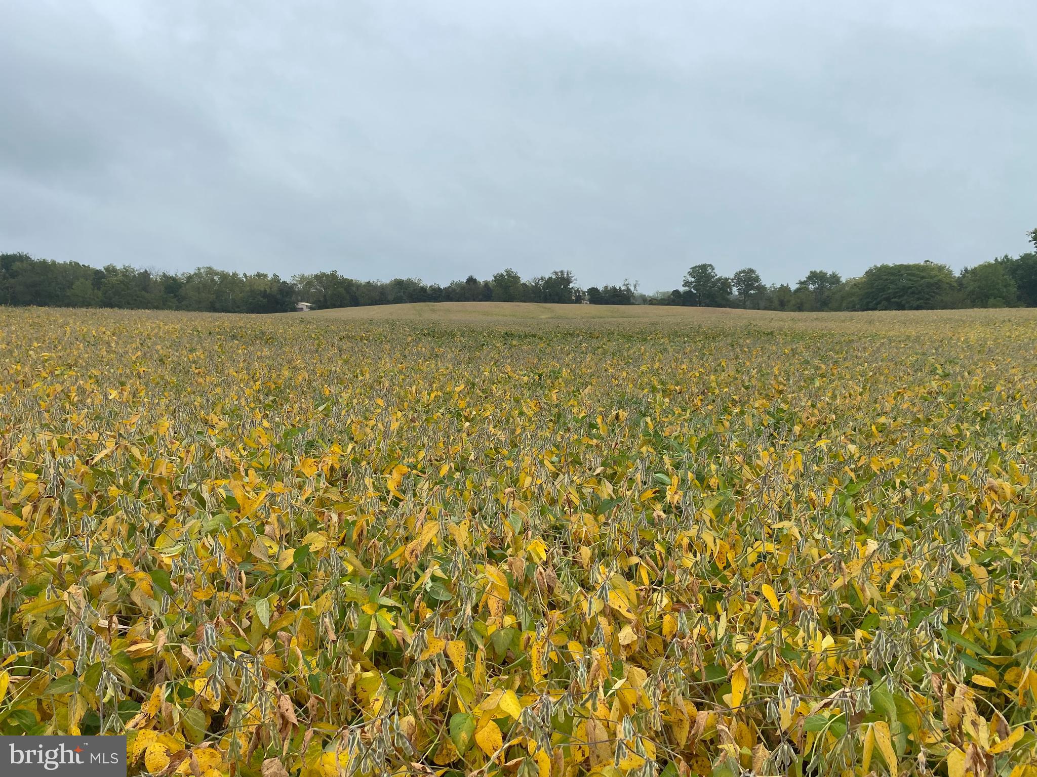 70 Peepytown Road East Berlin, PA 17316 - Photo 4 of 5