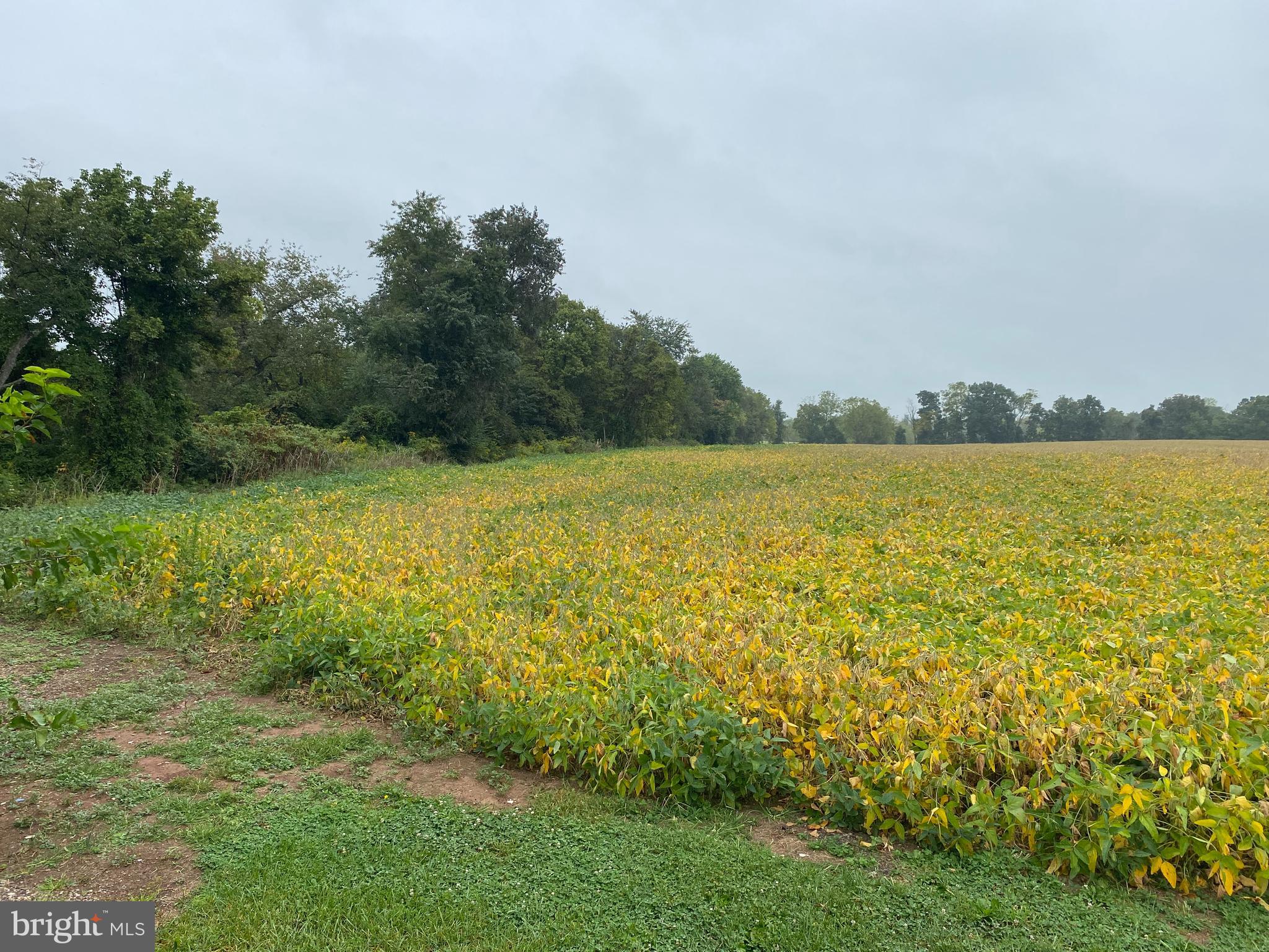 70 Peepytown Road East Berlin, PA 17316 - Photo 5 of 5