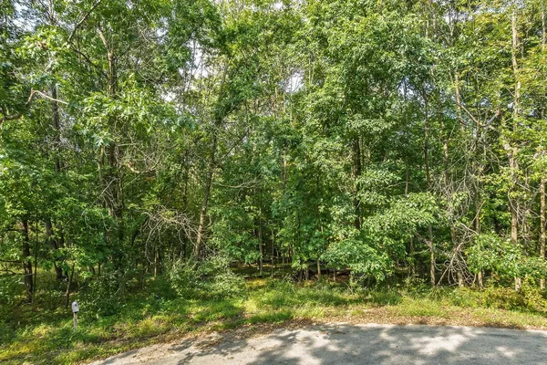 $12,500 | L289 Matterhorn Drive, La Valle, WI 53941