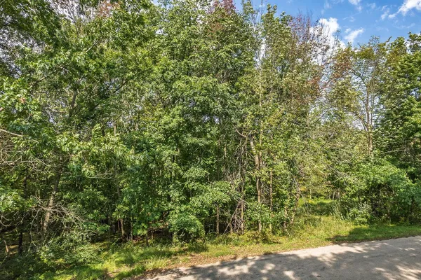 $12,500 | L289 Matterhorn Drive, La Valle, WI 53941