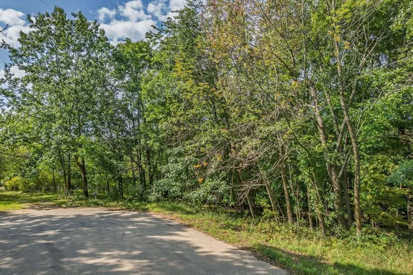 $12,500 | L289 Matterhorn Drive, La Valle, WI 53941