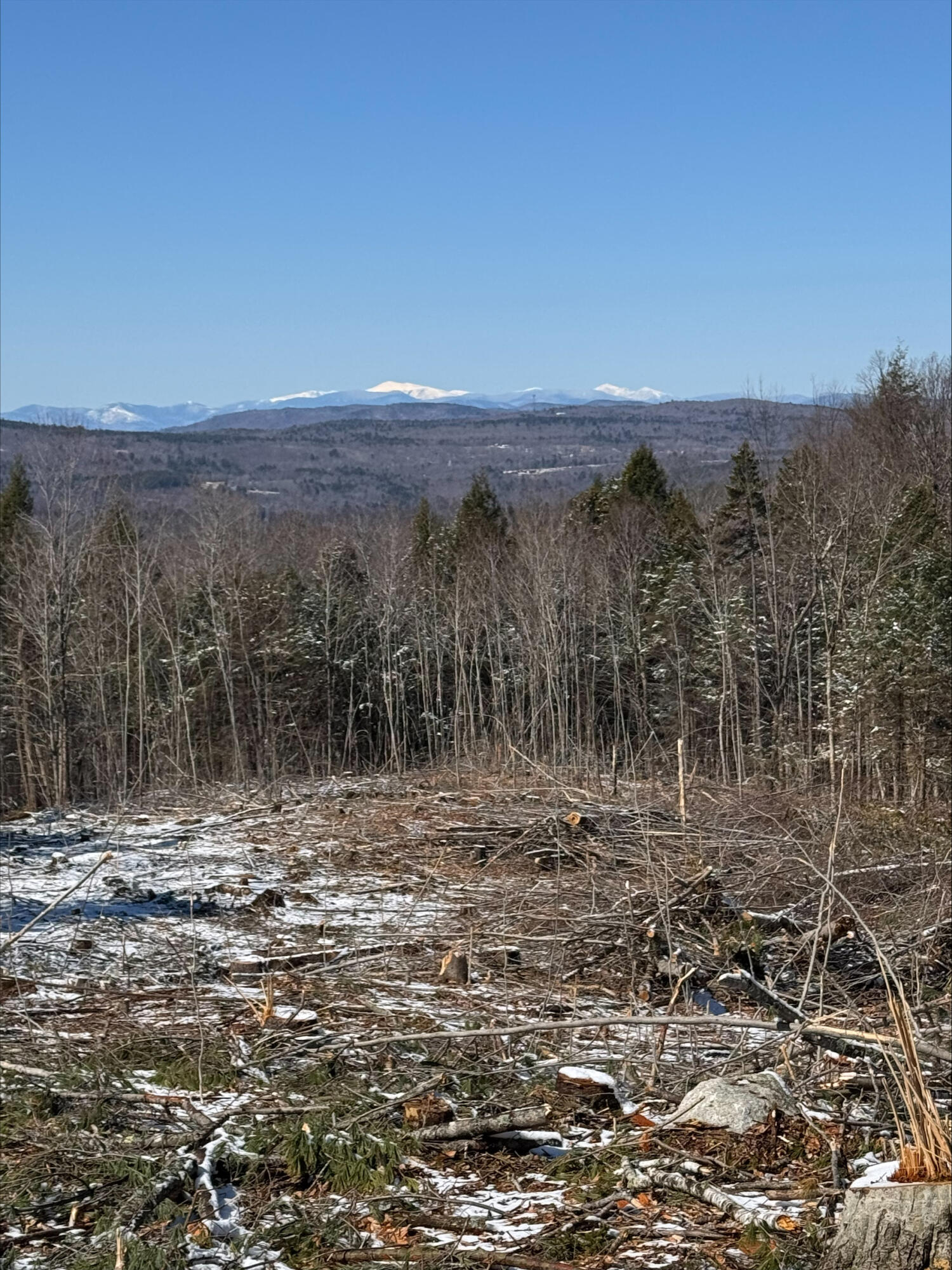 0 Ryerson Hill Road South Paris, ME 04281 - Photo 5 of 5 processed-A8FA5565-1550-437F-8F24-4C39C8