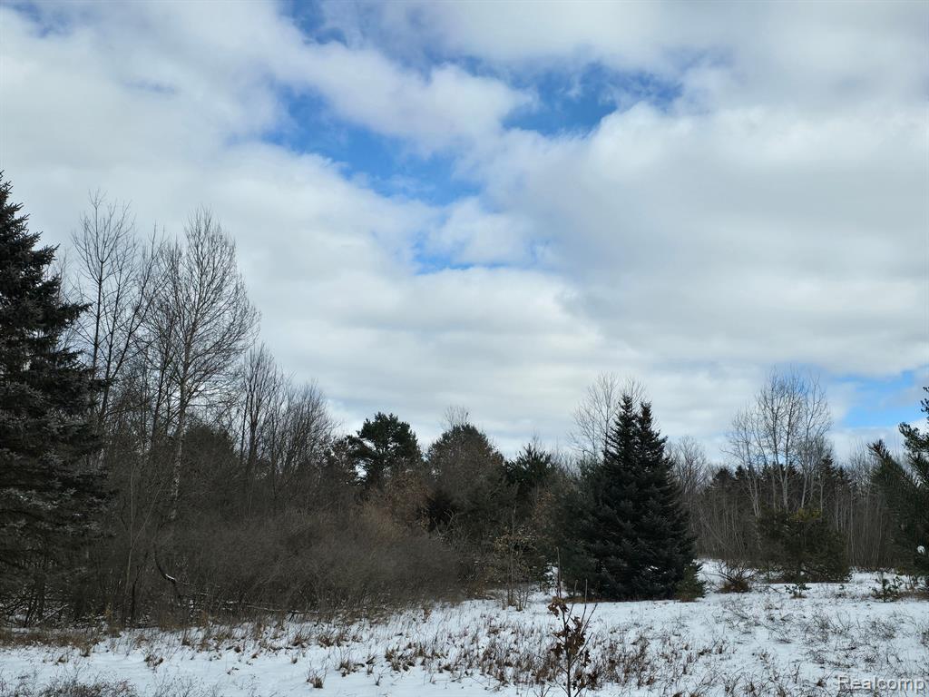 0 Falkenbury Road North Branch, MI 48461 - Photo 1 of 6