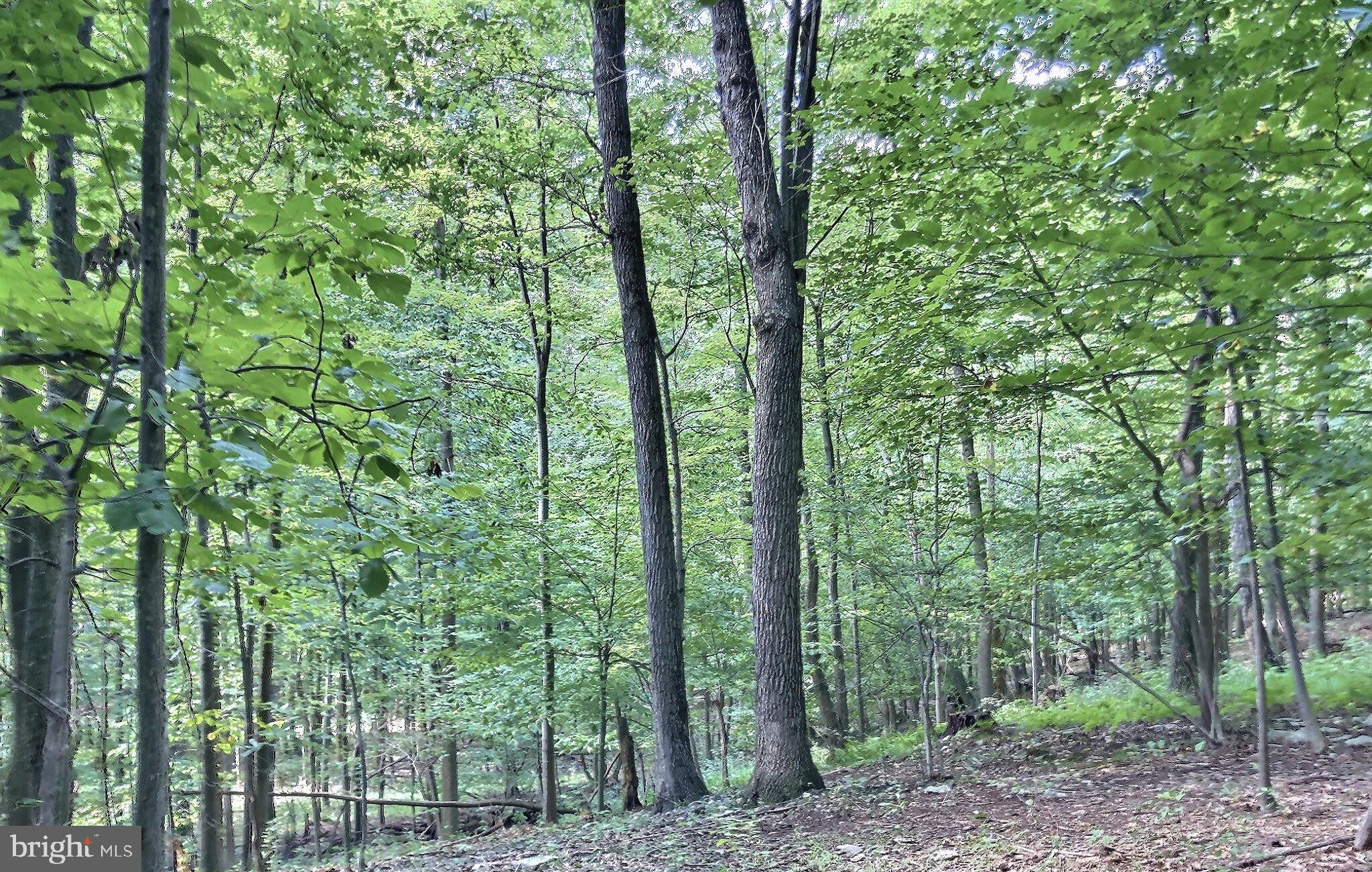 9515 Hawbottom Road Myersville, MD 21773 - Photo 12 of 21 Topography