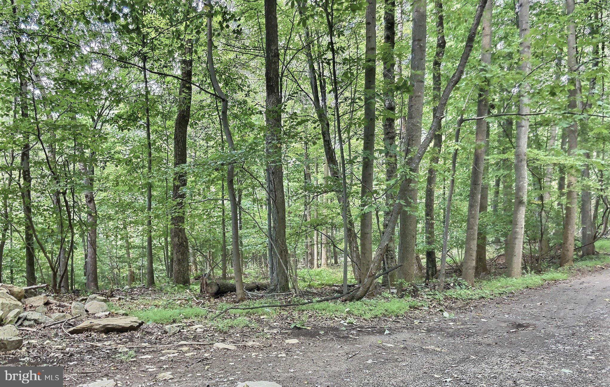9515 Hawbottom Road Myersville, MD 21773 - Photo 13 of 21 Topography
