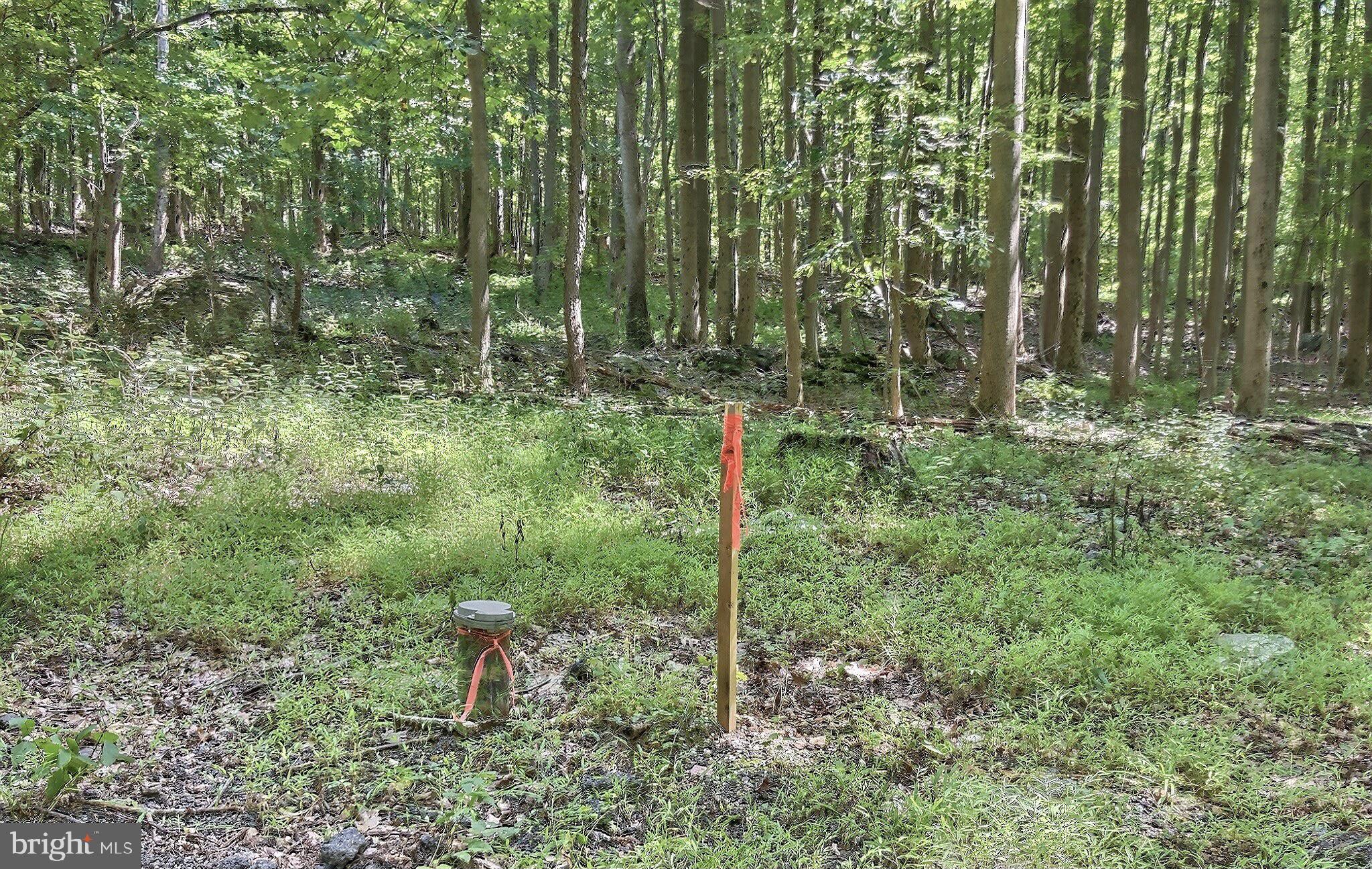 9515 Hawbottom Road Myersville, MD 21773 - Photo 4 of 21 Well