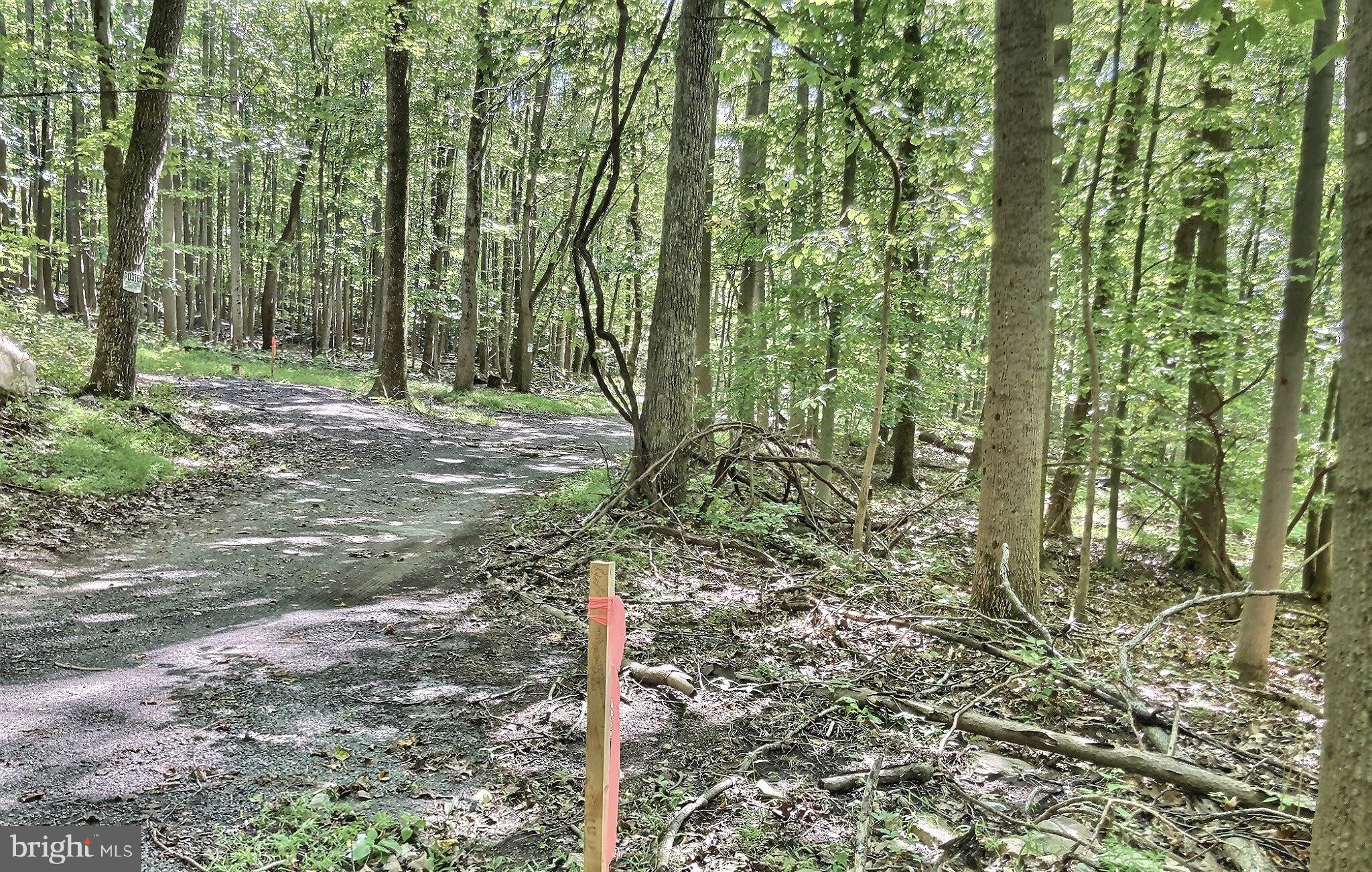 9515 Hawbottom Road Myersville, MD 21773 - Photo 8 of 21 @ Marker identifying property both sides of Road