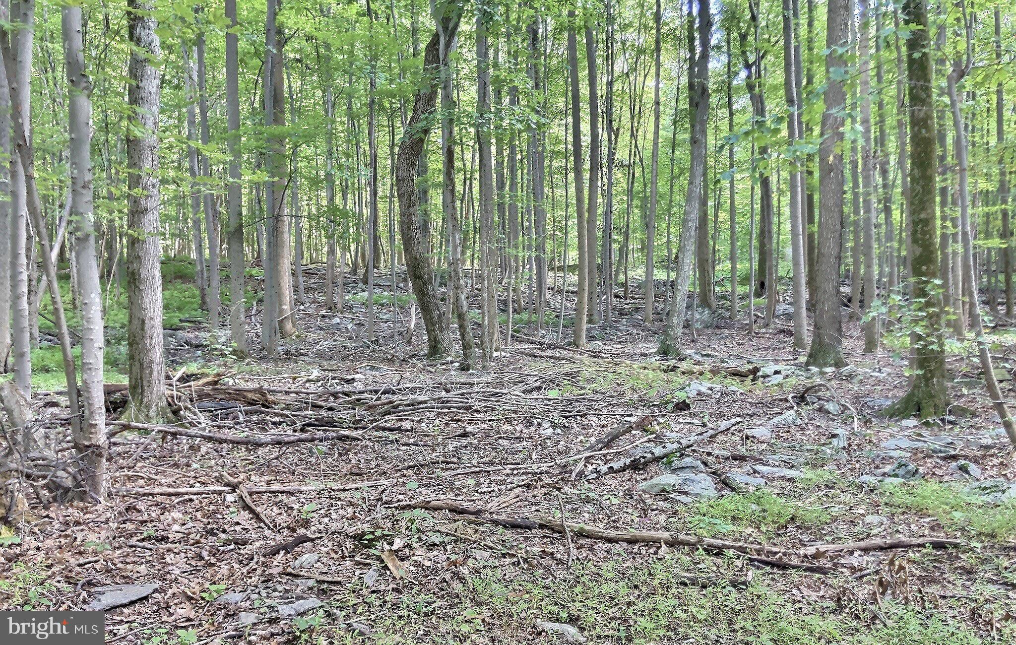 9515 Hawbottom Road Myersville, MD 21773 - Photo 9 of 21 Topography