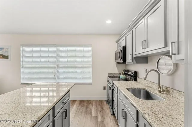 a view of a park with large trees