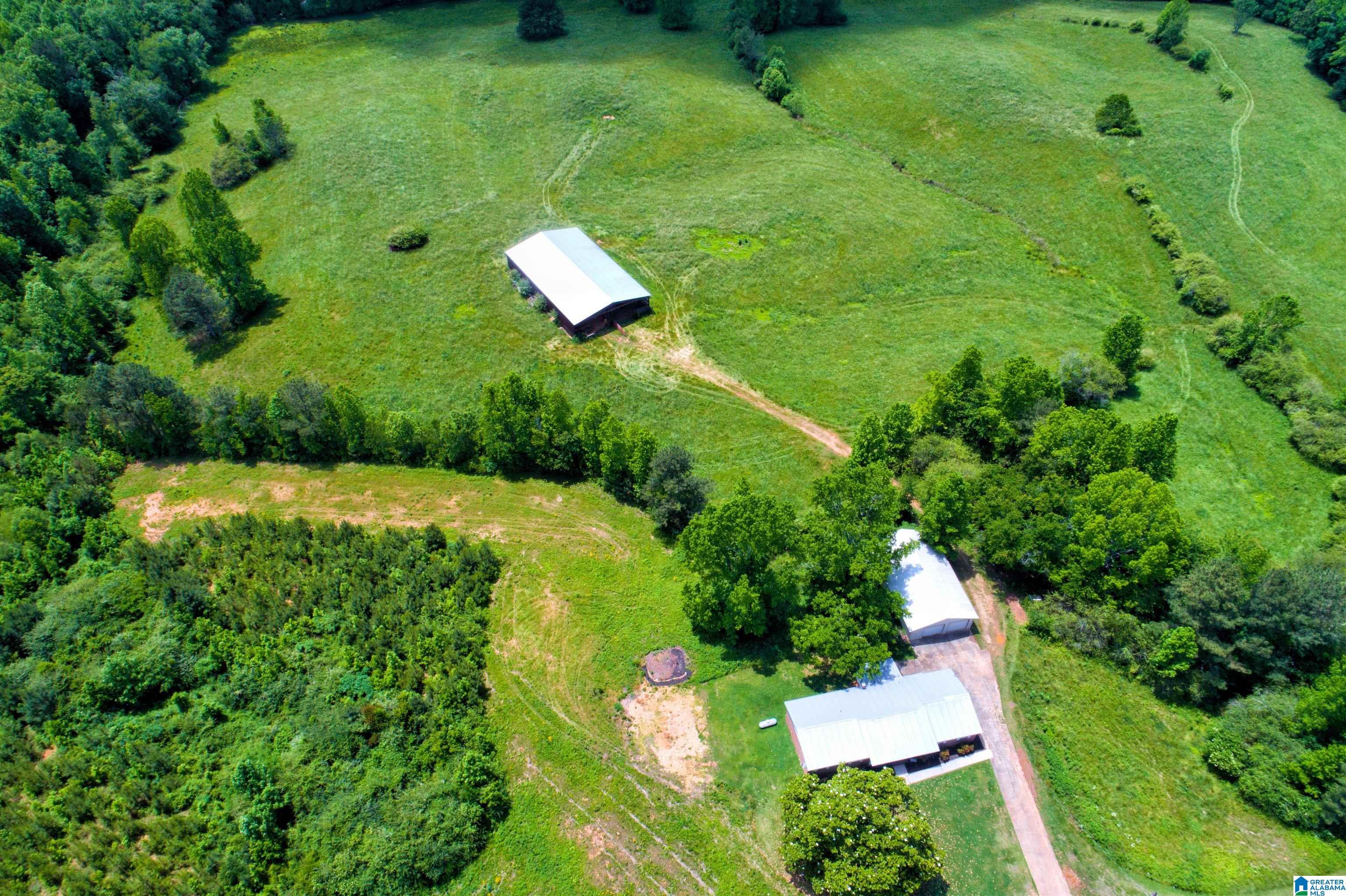 280 County Road 63 Ranburne, AL 36273 - Photo 41 of 43