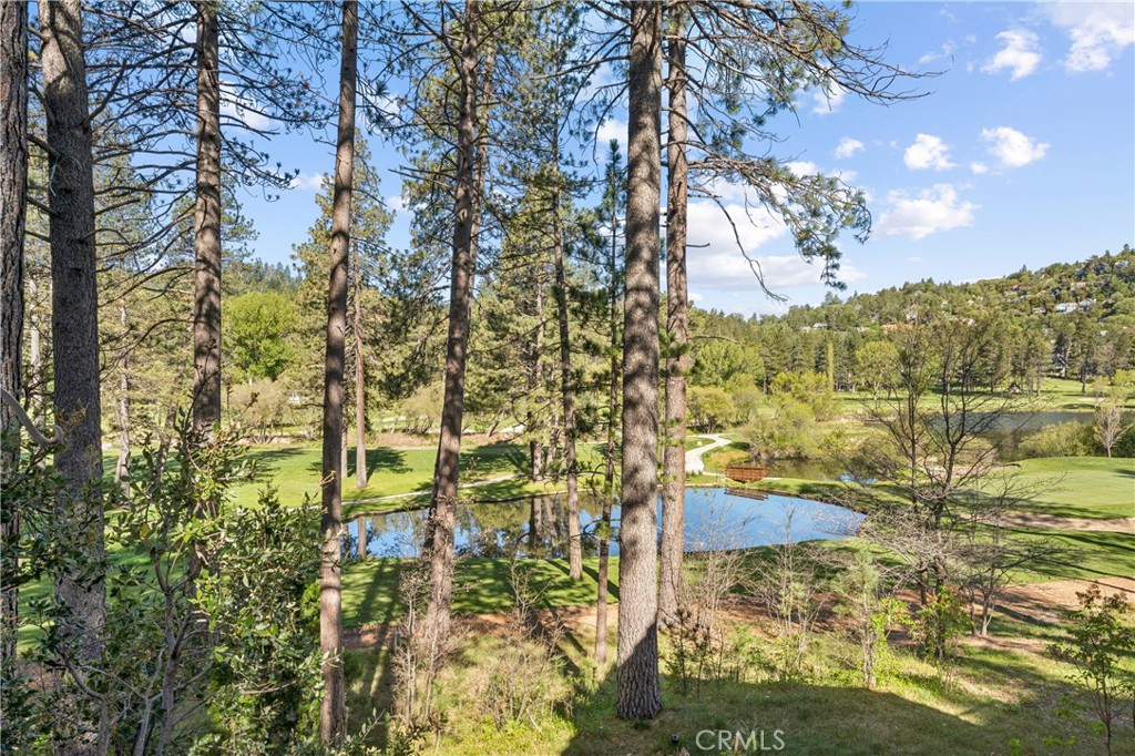 524 Golf Course Road Lake Arrowhead, CA 92352 - Photo 53 of 71