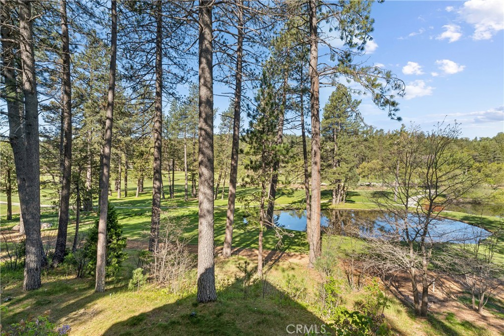 524 Golf Course Road Lake Arrowhead, CA 92352 - Photo 54 of 71