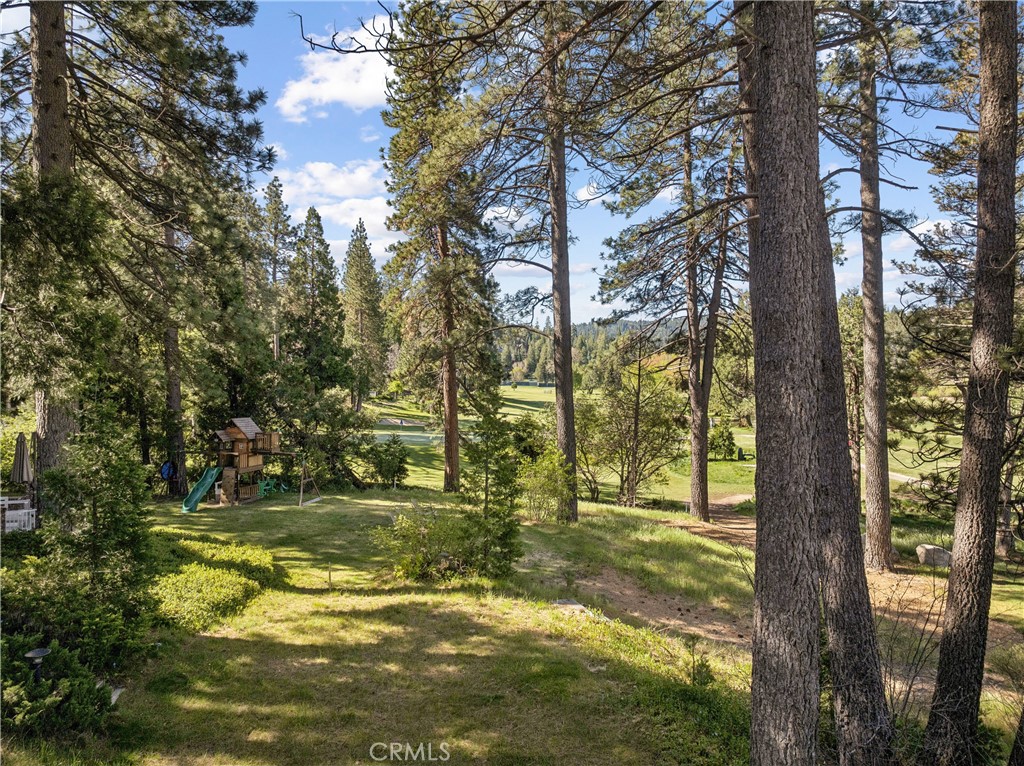 524 Golf Course Road Lake Arrowhead, CA 92352 - Photo 57 of 71