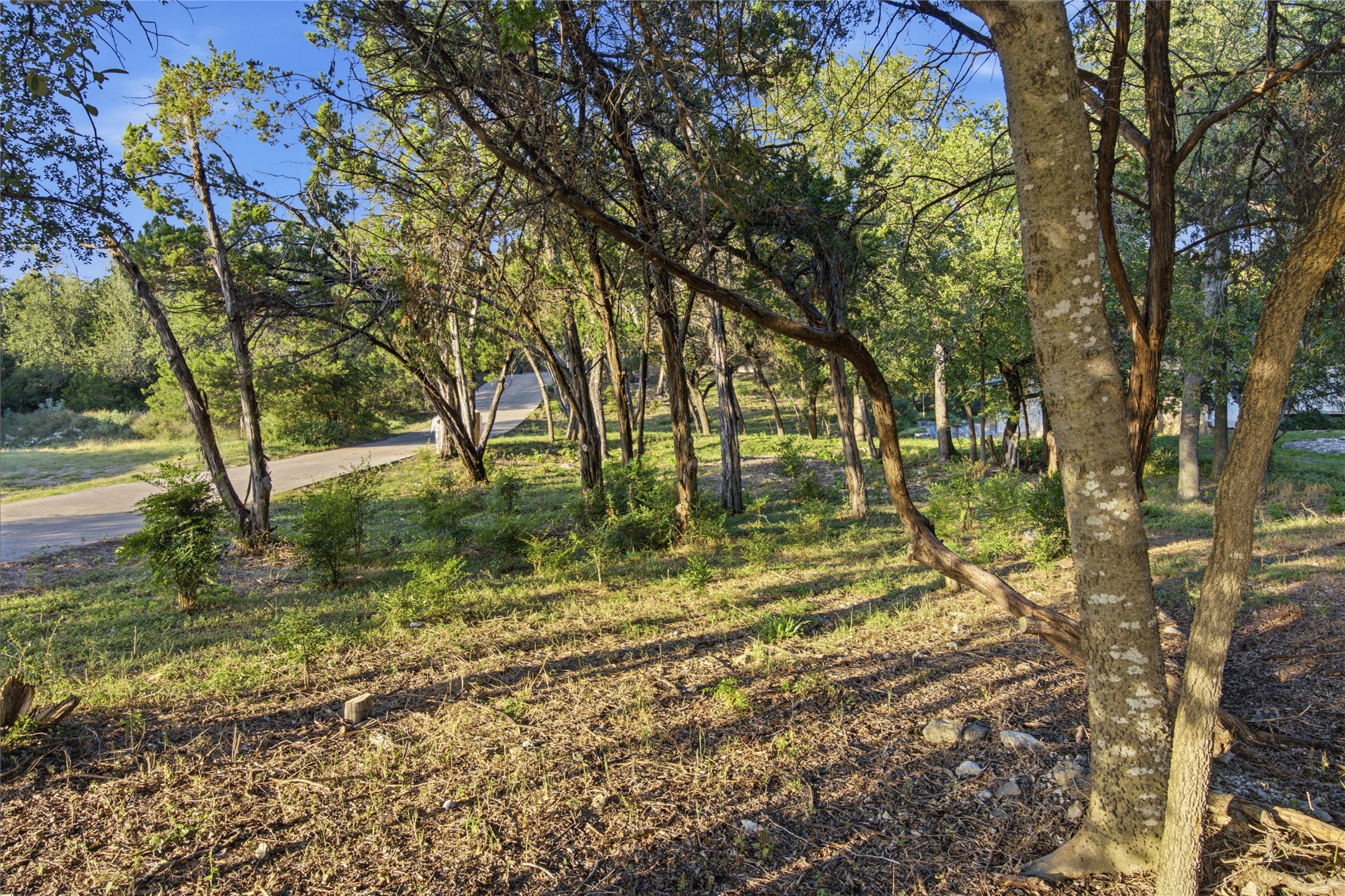 8204 Texas Plume Road Austin, TX 78759 - Photo 37 of 40 Mature trees and natural landscaping line a winding pathway through this private parcel.