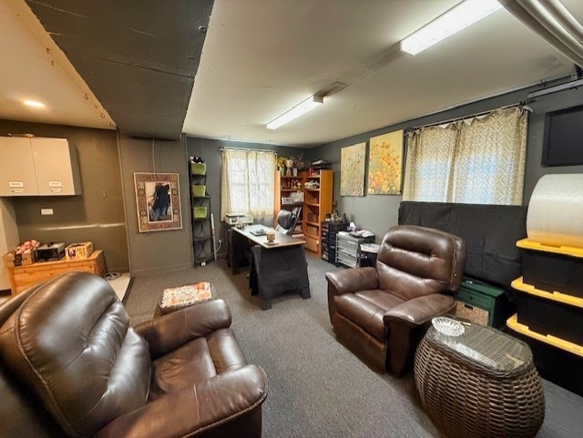 33W179 Surrey Road Wayne, IL 60184 - Photo 34 of 39 a living room with furniture and a large window
