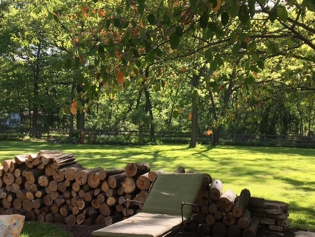 33W179 Surrey Road Wayne, IL 60184 - Photo 36 of 39 a view of a swimming pool and lounge chairs