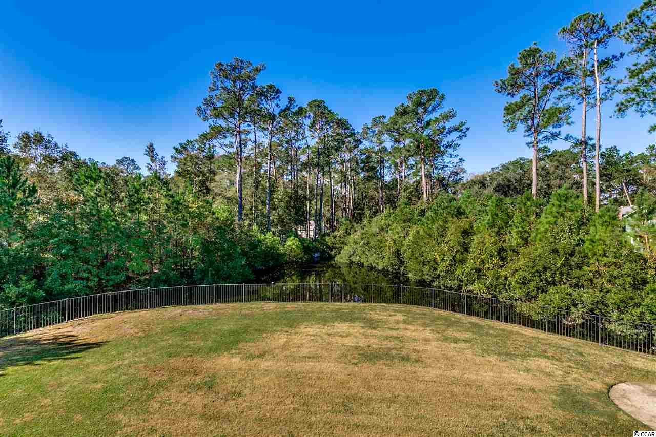 256 Graytwig Circle Murrells Inlet, SC 29576 - Photo 23 of 25 Gallery Image 23
