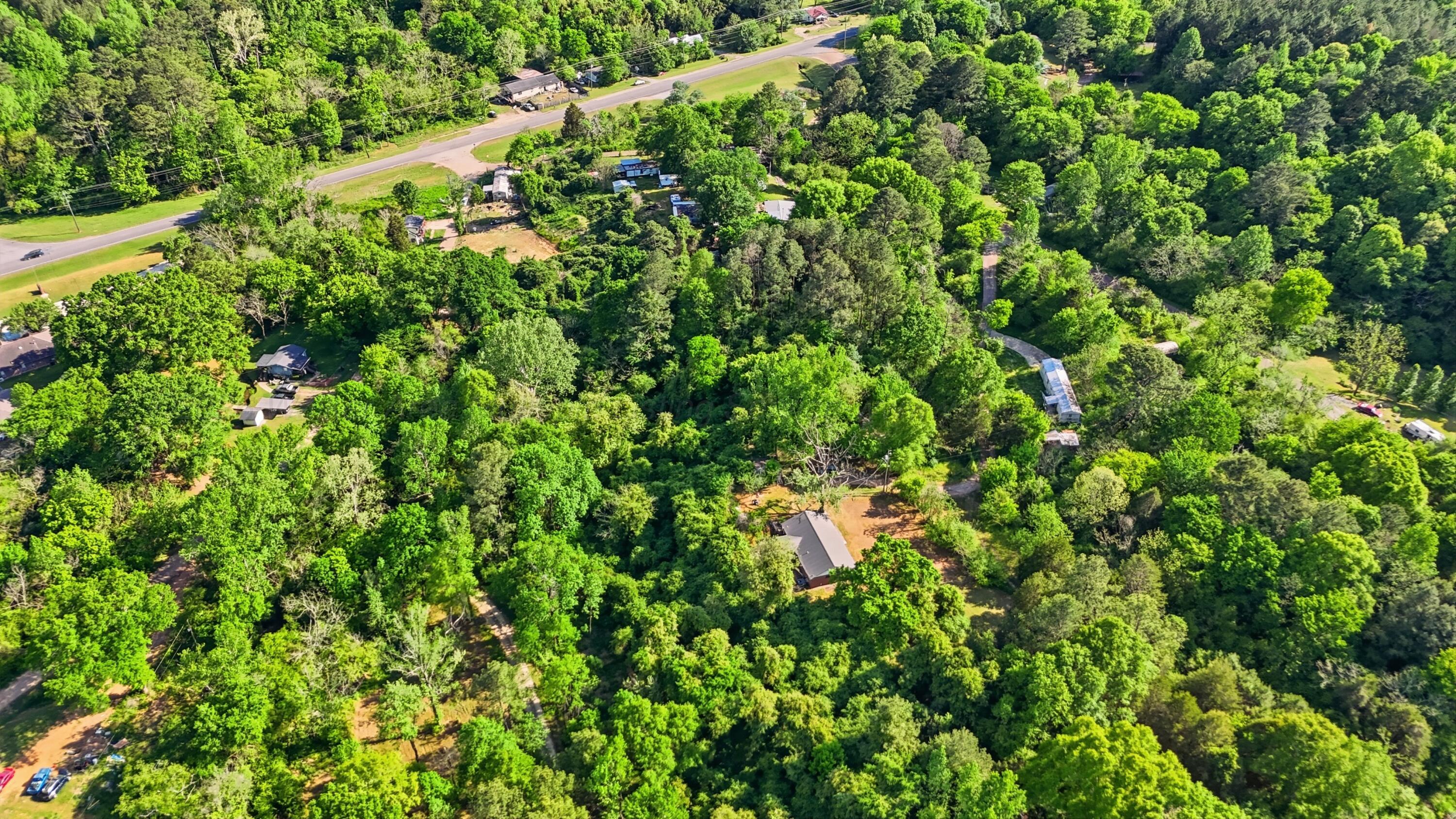 90 Sperling Road Dora, AL 35062 - Photo 19 of 27 Aerial view