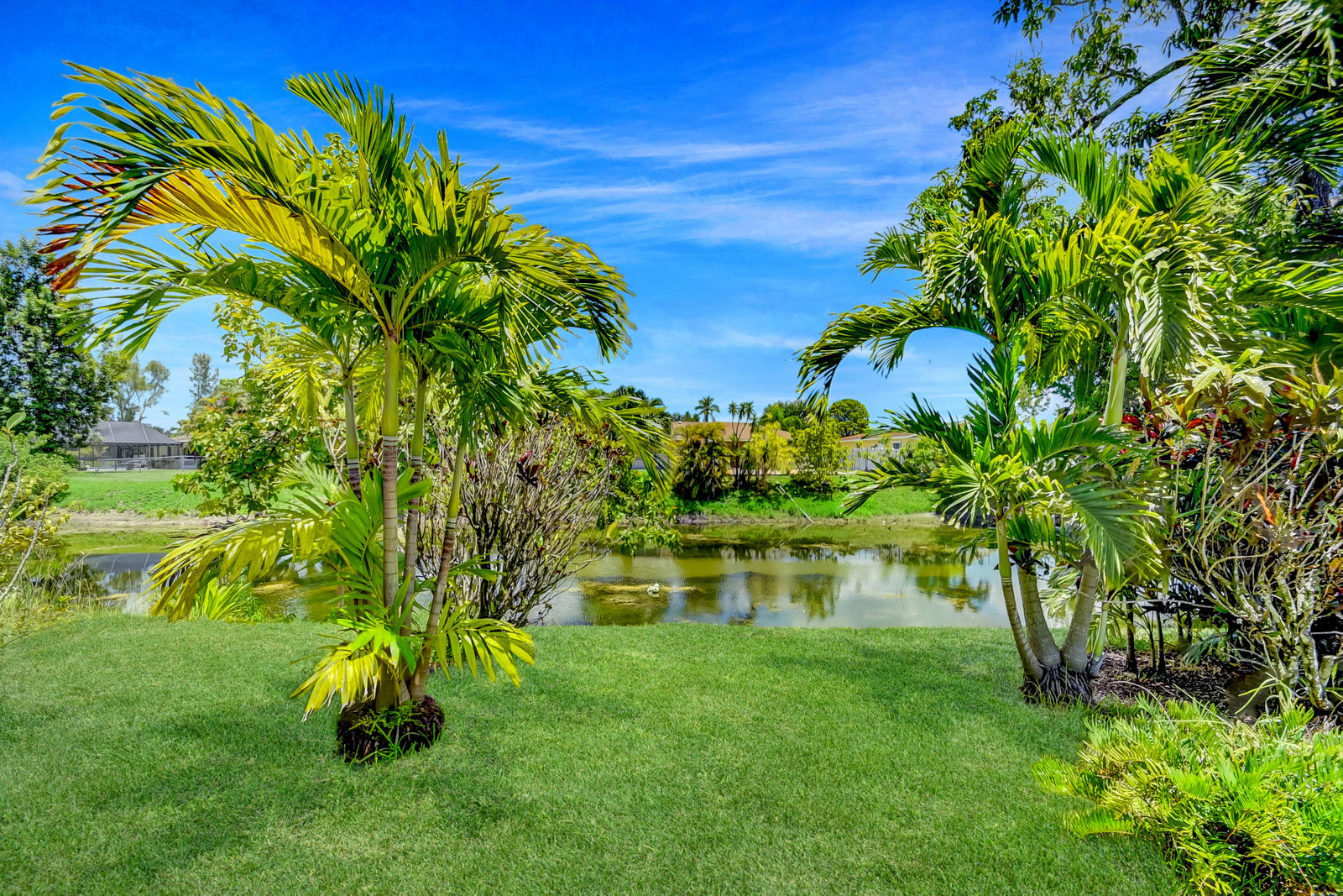 22298 Garrison Street Boca Raton, FL 33428 - Photo 58 of 62 a backyard of a house with a garden and plants