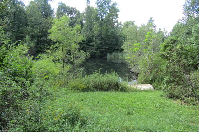 881 Deep Water Road Crossville, TN 38571 - Photo 21 of 40 Pond Area