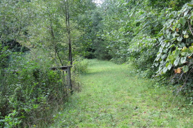 881 Deep Water Road Crossville, TN 38571 - Photo 23 of 40 Path to River