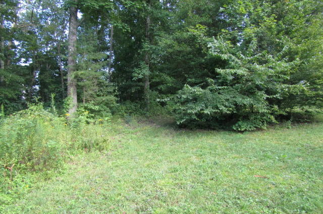 881 Deep Water Road Crossville, TN 38571 - Photo 24 of 40 Back yard