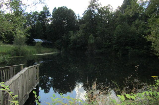 881 Deep Water Road Crossville, TN 38571 - Photo 26 of 40 Pond to Pavilion