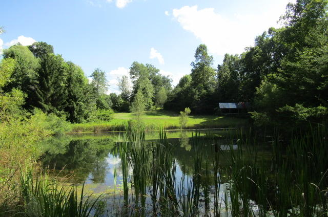 881 Deep Water Road Crossville, TN 38571 - Photo 29 of 40 Over Pond to Pavilion