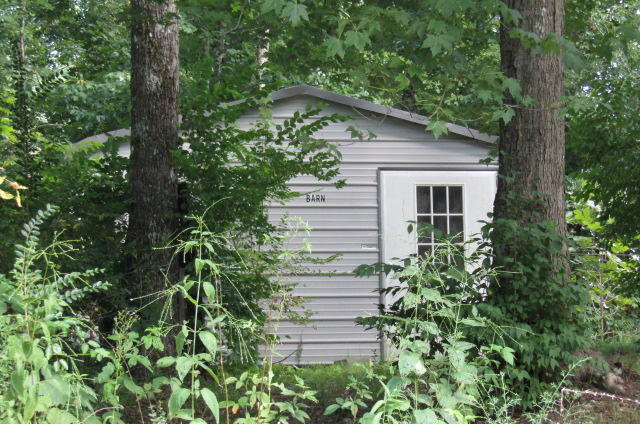 881 Deep Water Road Crossville, TN 38571 - Photo 31 of 40 Shed