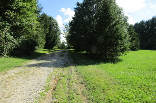 881 Deep Water Road Crossville, TN 38571 - Photo 35 of 40 Driveway